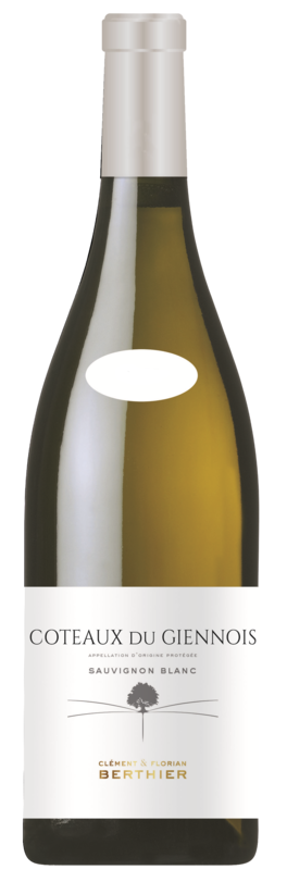 Vignobles Berthier - Coteaux Du Giennois Wit 2024