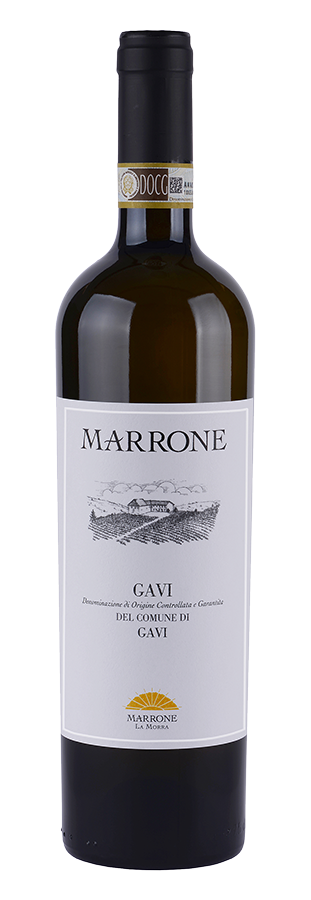 Marrone - Gavi di Gavi DOCG